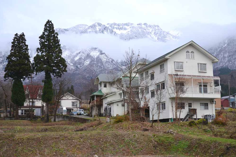 外観 春のやまぼうし