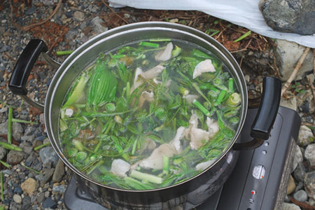 山菜フェスティバル イメージ